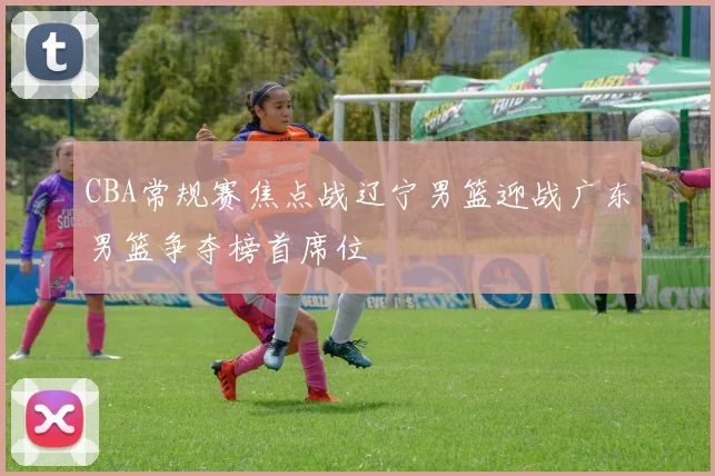 CBA常规赛焦点战辽宁男篮迎战广东男篮争夺榜首席位