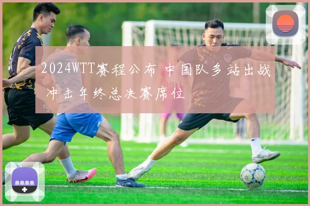 2024WTT赛程公布 中国队多站出战 冲击年终总决赛席位