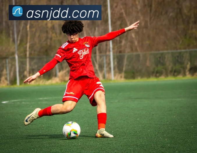 完美体育官网平台生态图