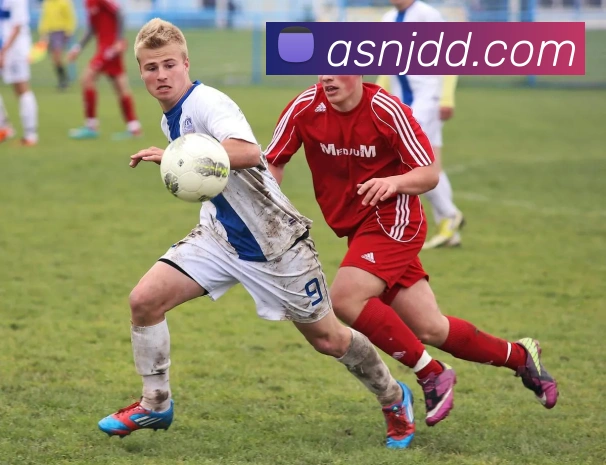 完美体育官网全站App